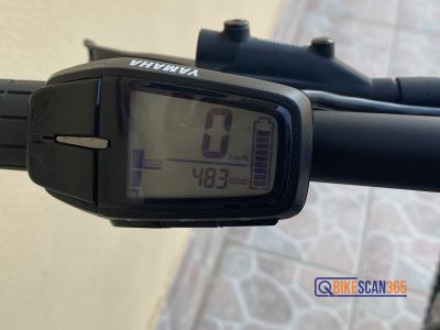 EBIKE RAYMON HARDRAY 8.0