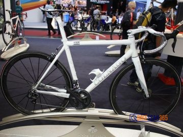 C59 LIMITED EDITION