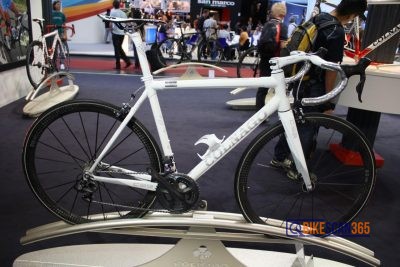 C59 LIMITED EDITION