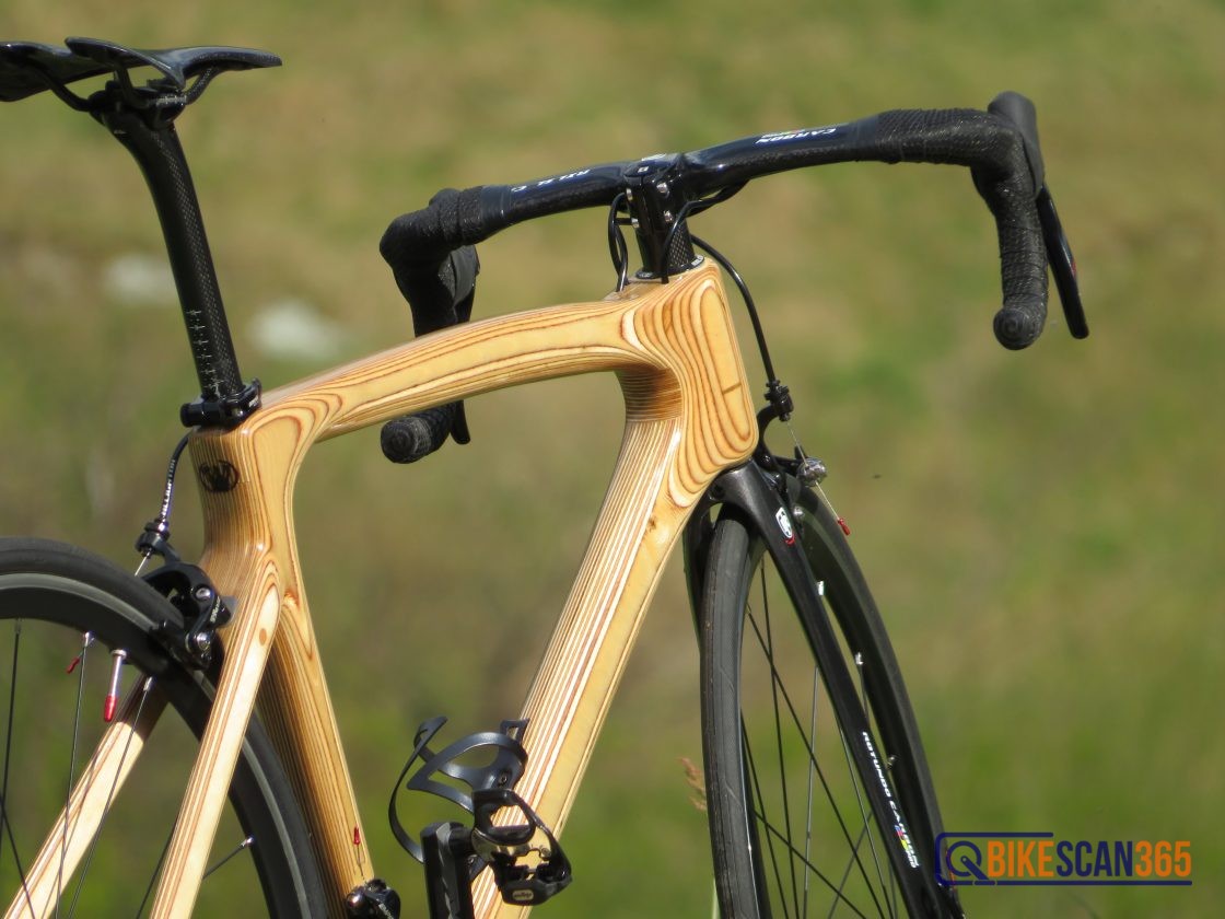 bicicletta in legno