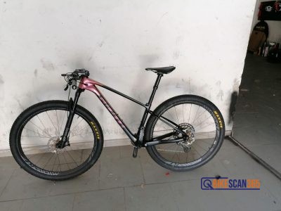 Mountain bike Giant