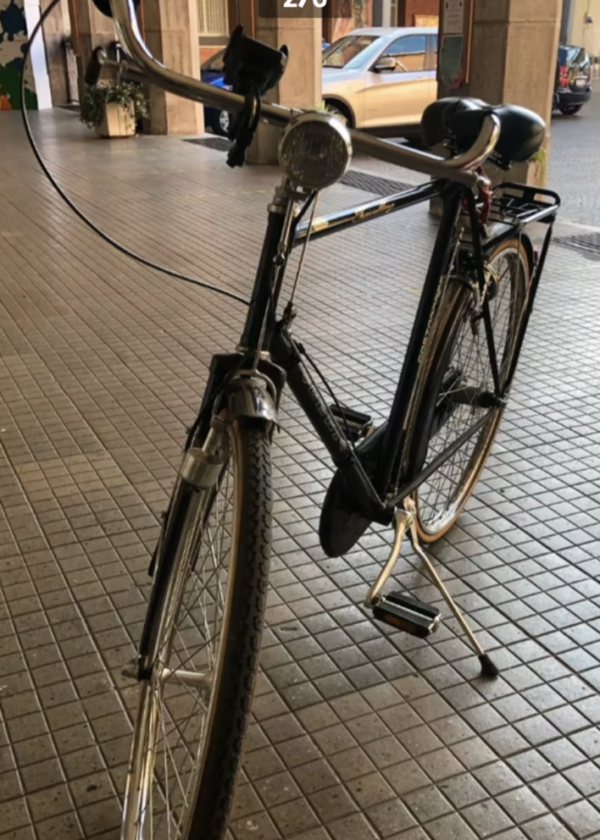 Bici LERI Travelling (SHIMANO)