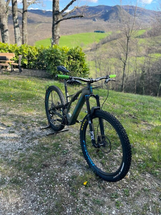 Specialized Turbo levo sl