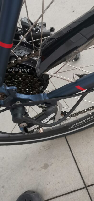 Bici elettrica