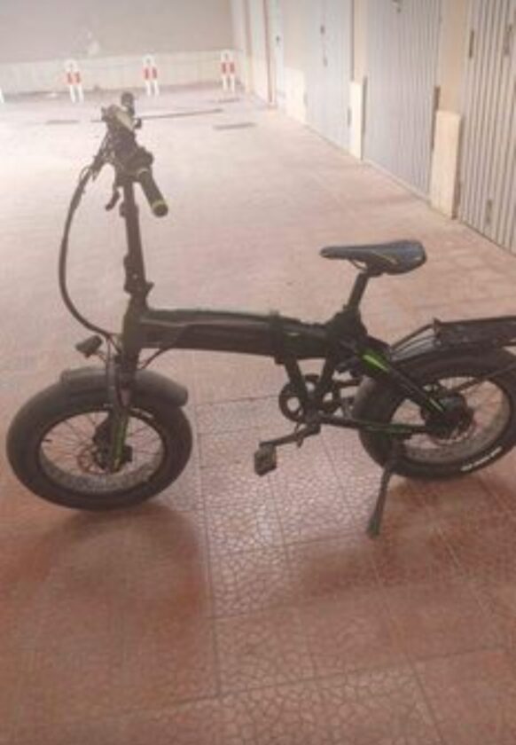 bicicletta elettrica armony 250w
