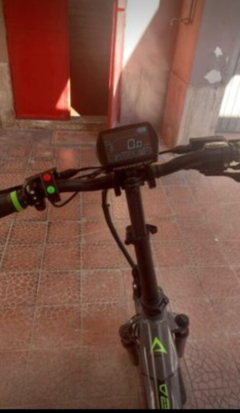 bicicletta elettrica armony 250w