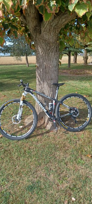 BIANCHI METHANOL 29 FRONT carbonio