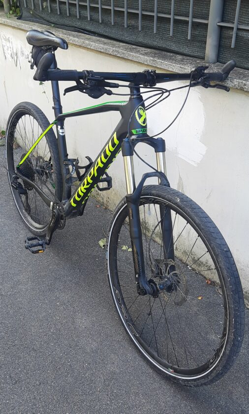 Torpado RIBOT C