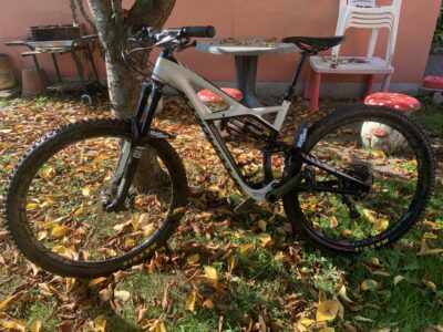 Specialized Enduro Expert Carbon