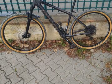 MTB Focus
