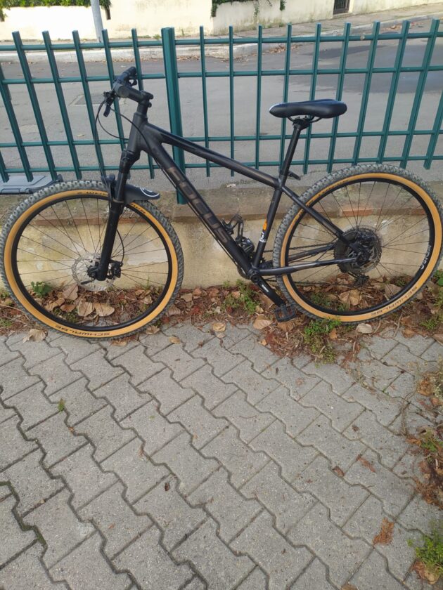 MTB Focus