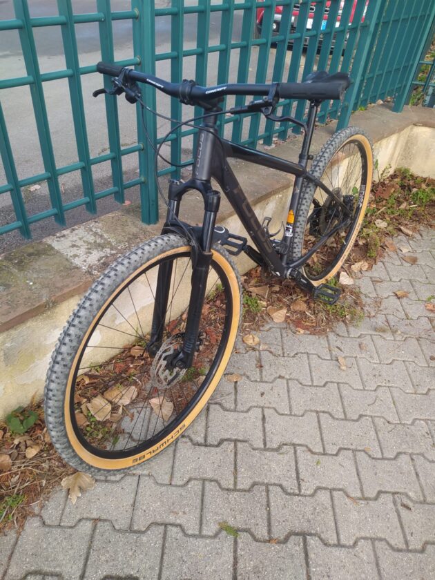 MTB Focus