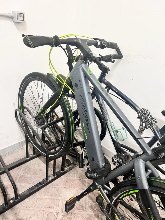 Vendo Ebike Armony, modello Milano Avanguardia