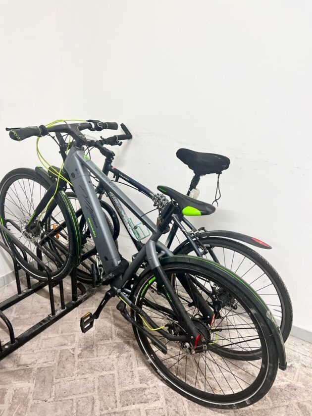 Vendo Ebike Armony, modello Milano Avanguardia