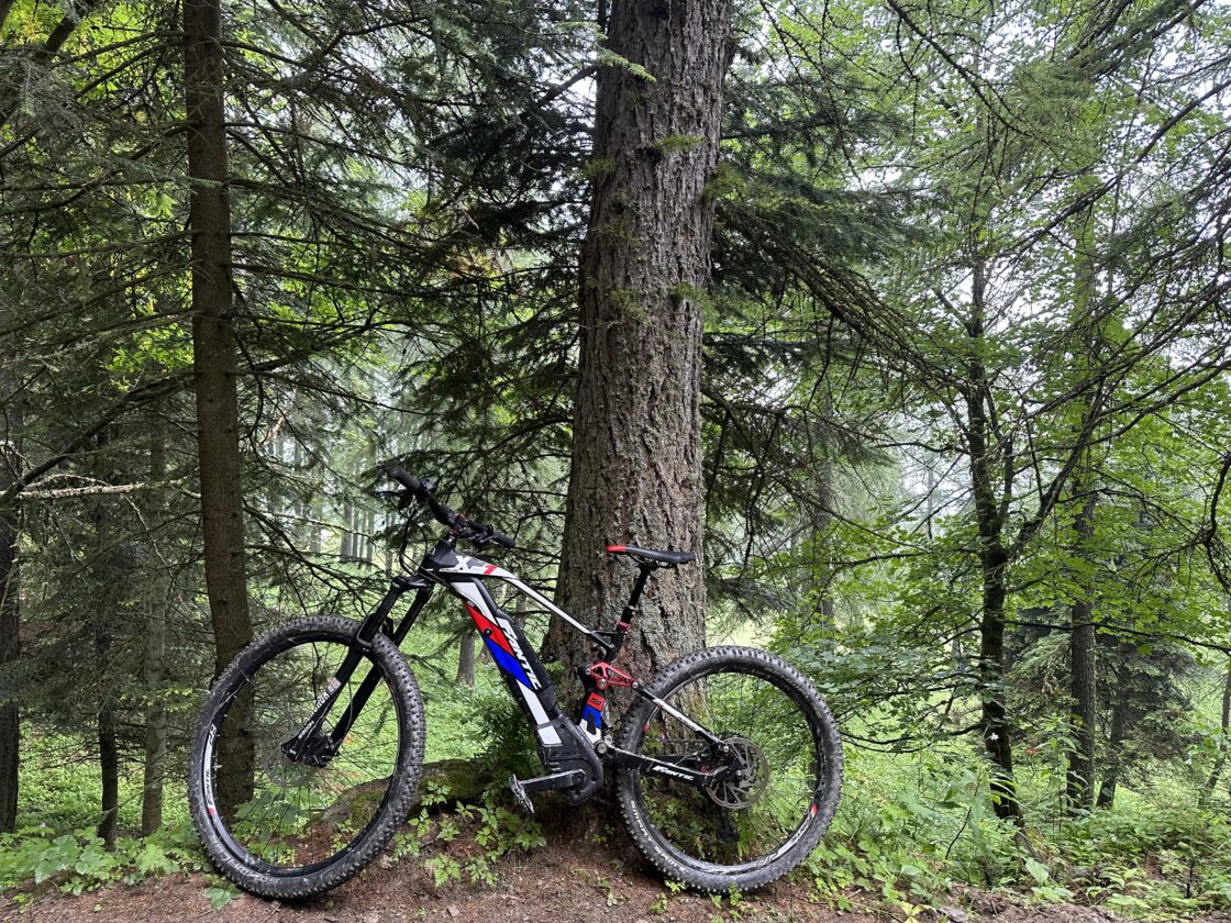 Ebike Fantic XF1 150