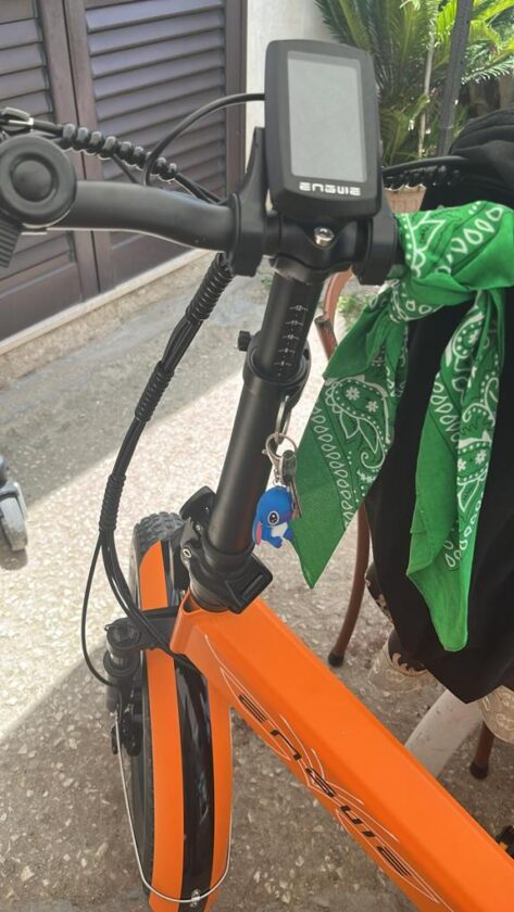 Bici elettrica