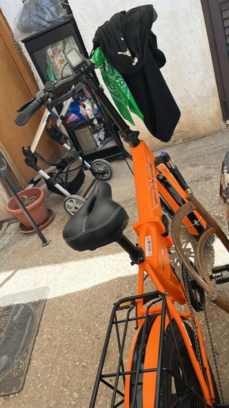 Bici elettrica