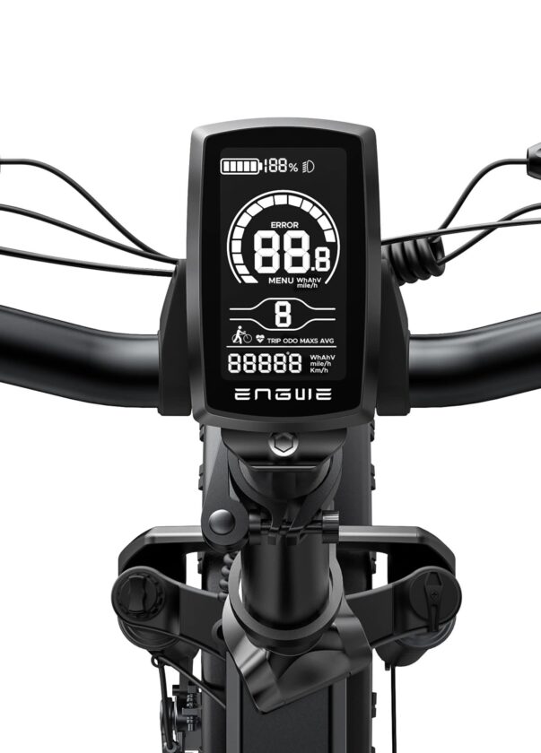 Bici elettrica Fat Bike