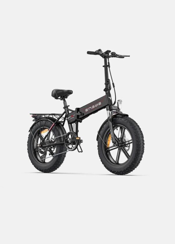 Bici elettrica Fat Bike
