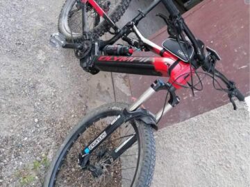 Bici elettrica Olympia