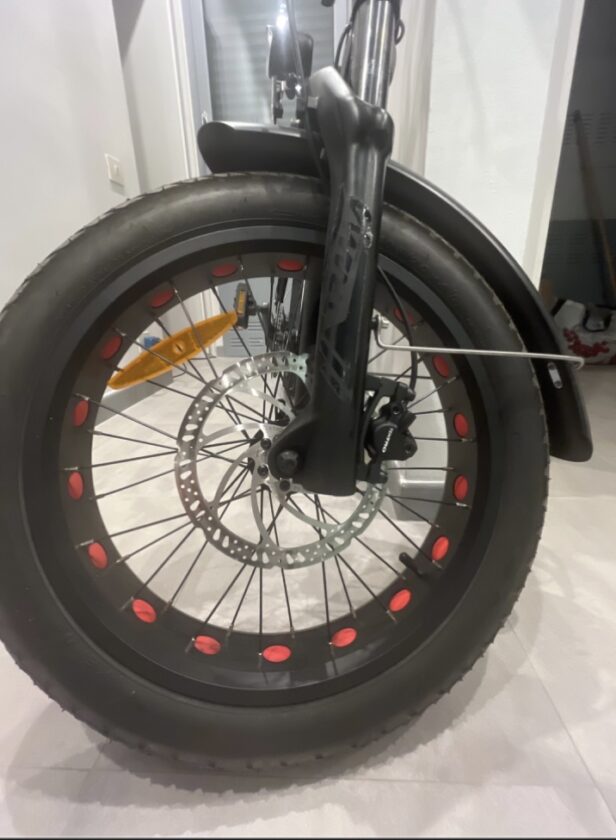Fat Bike Miele 48v2 S