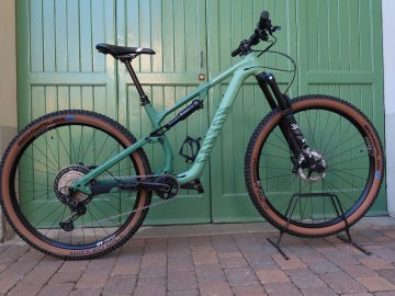 Canyon Neuron 7