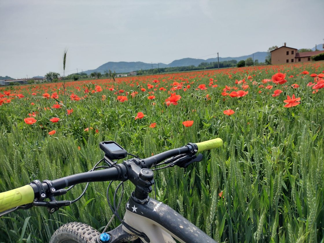 Trek Fuel EX 9.7 2019