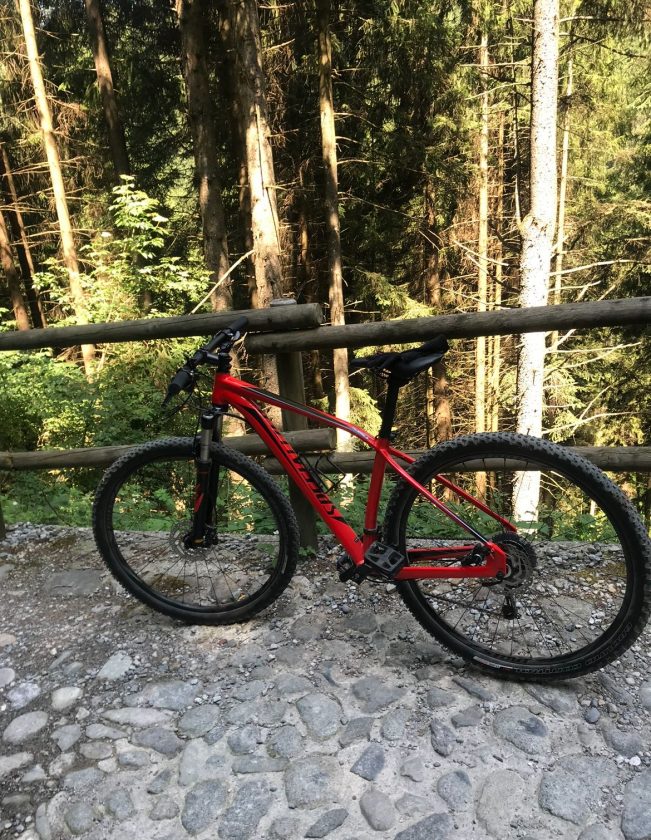 Specialized Rockhopper