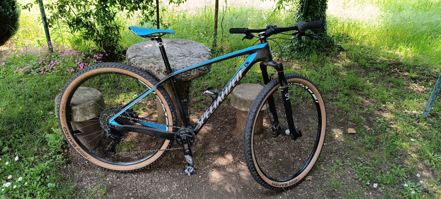 MTB specialized carbonio