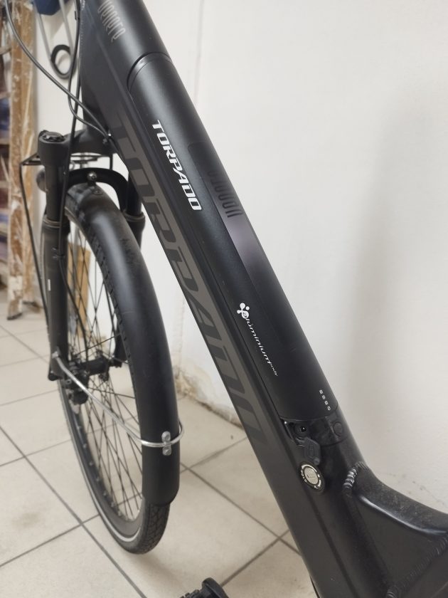 Bici elettrica a pedalata assistita