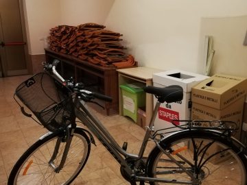 Storm Mountain citybike donna