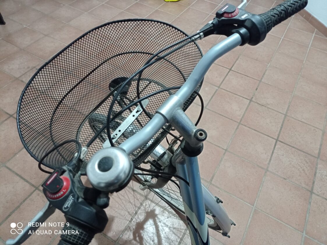 Bicicletta da passeggio