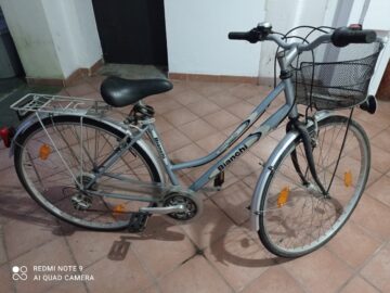 Bicicletta da passeggio