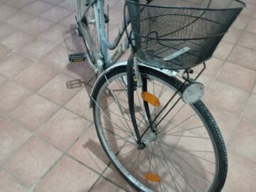 Bicicletta da passeggio