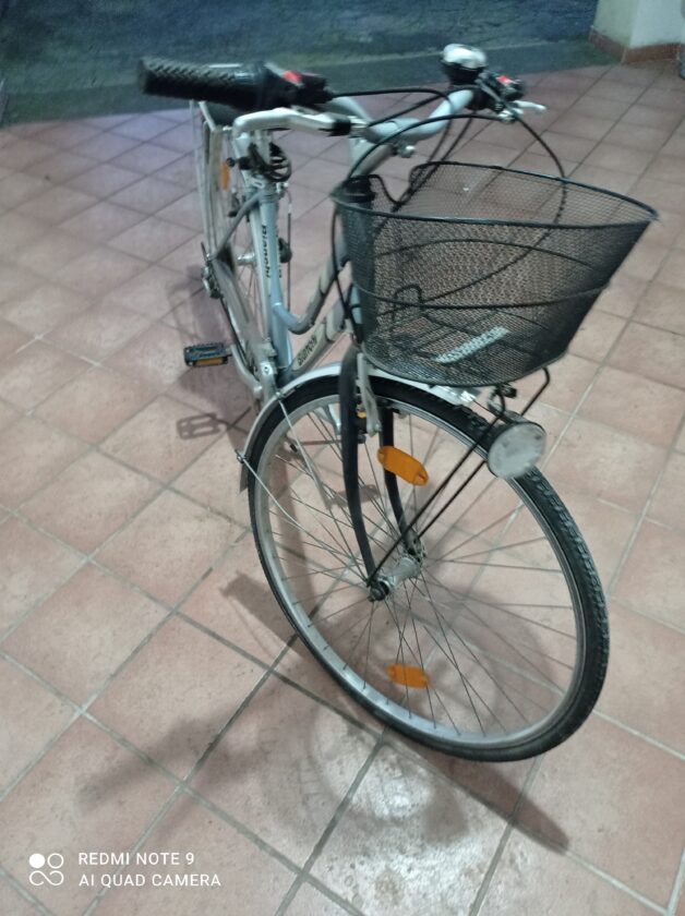 Bicicletta da passeggio