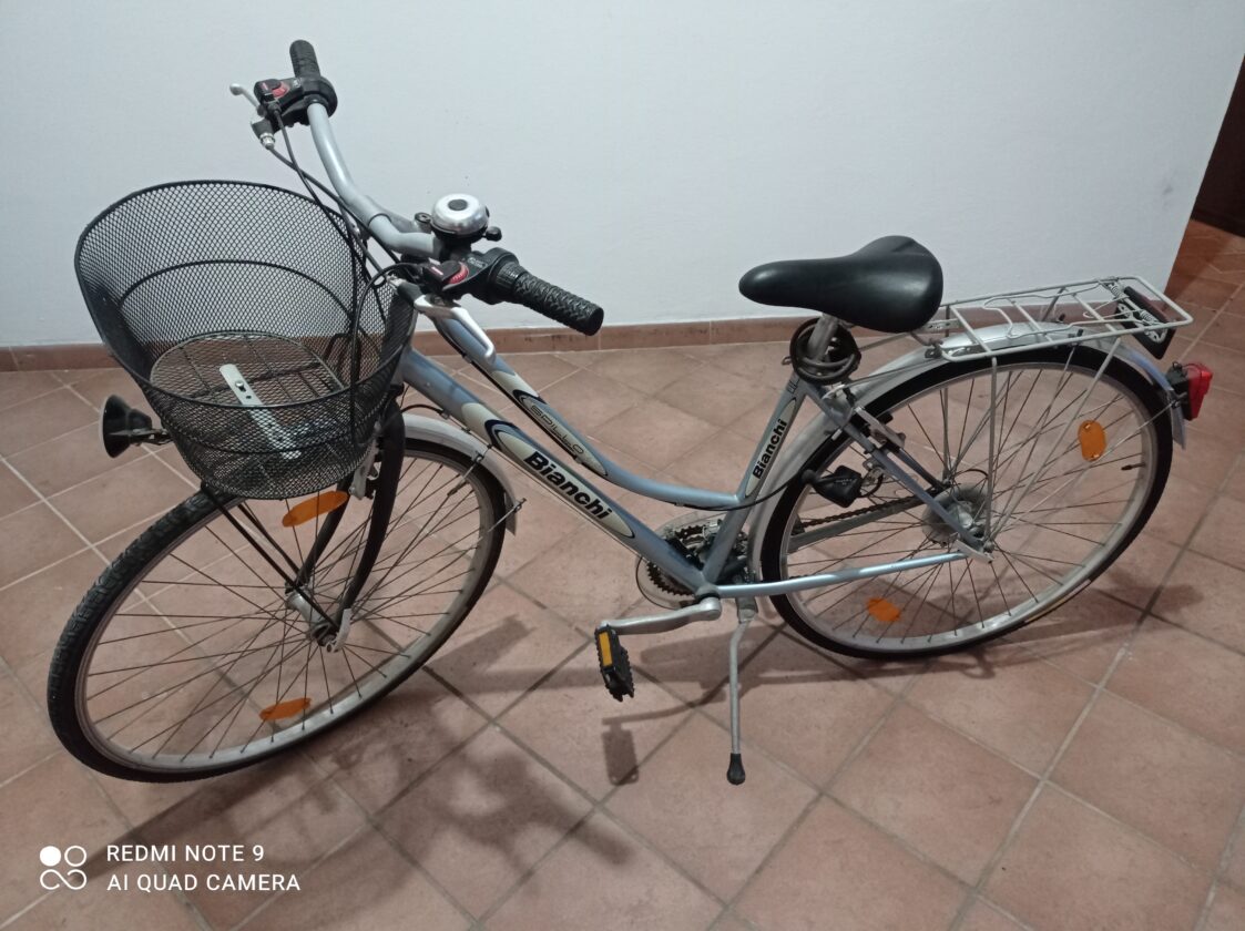Bicicletta da passeggio