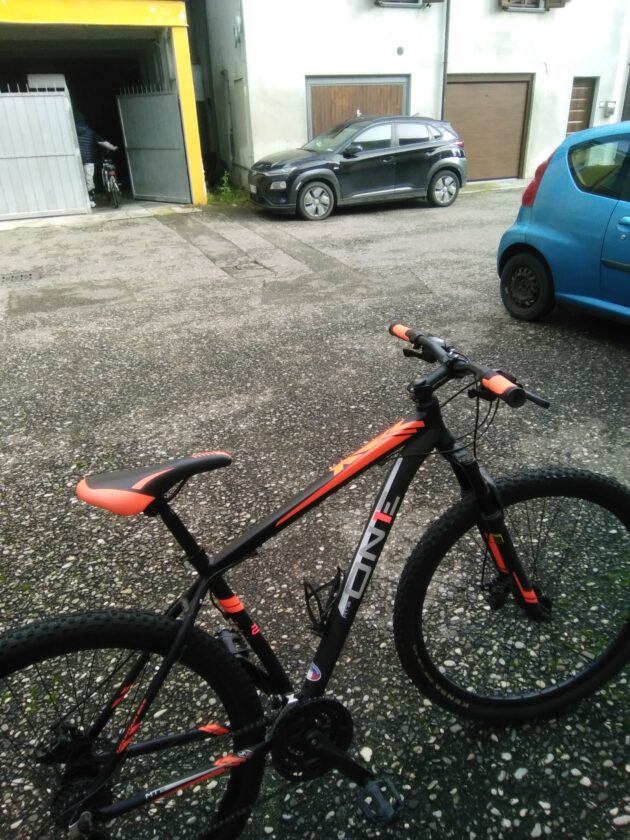 Bicicletta Mountain bike da uomo