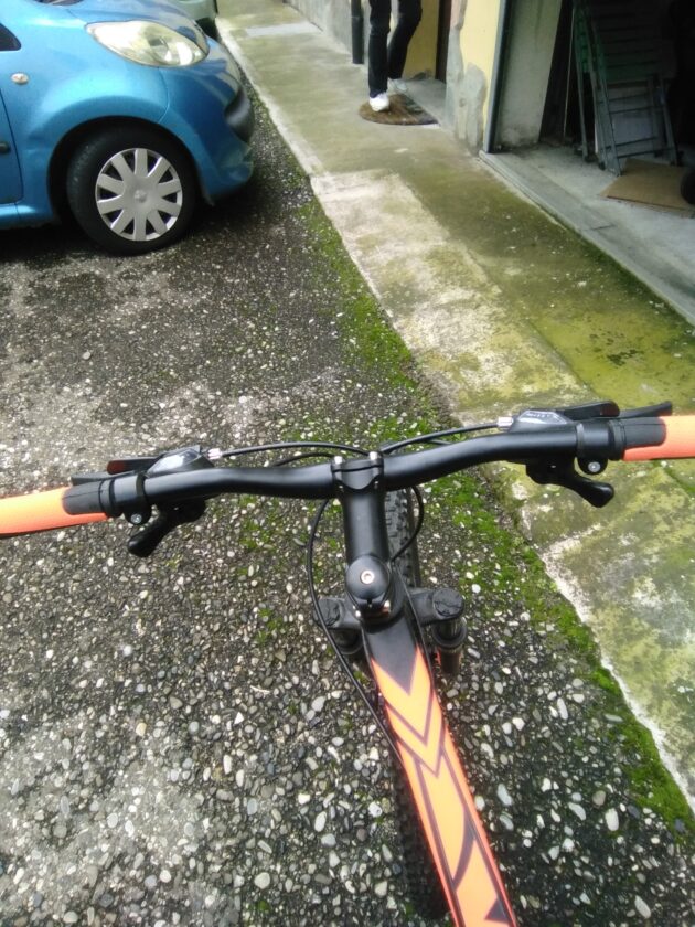 Bicicletta Mountain bike da uomo