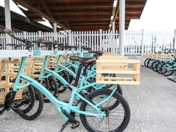 Bici Bianchi 3 ruote – Occasioni Uniche!